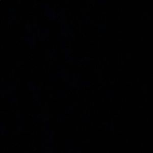 Meet your Posher, Ellie